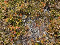 20190825_162728.webp