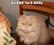 lo8bdz.webp