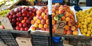 IMG_20190802_120331.webp