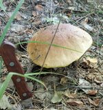 IMG_20190903_105352.jpg