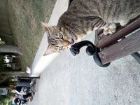 IMG_20190905_181332.webp