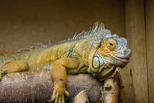 DSC_0057.webp