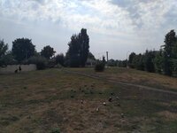 IMG_20190906_122504.jpg