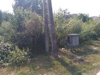 IMG_20190906_125310.jpg