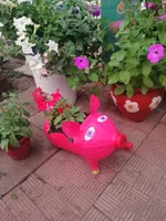 IMG_20190624_203604.webp