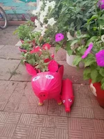 IMG_20190624_203613.webp