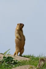 DSC34701.webp