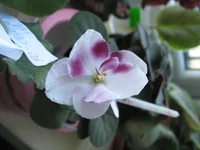 IMG_3246.webp