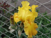 P5230321.webp