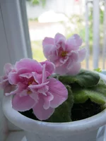 IMG_0099.webp