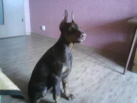 -0044.webp