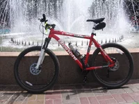  064.webp