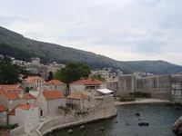 DSC01917.jpg
