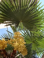 DSC01661.webp