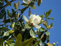 _1.webp