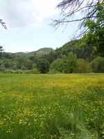 DSC01747.jpg