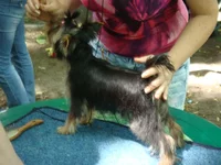 DSC02716.webp