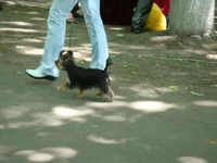 DSC02725.JPG