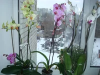 DSC03143.jpg