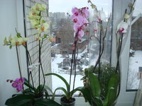 DSC03144.jpg
