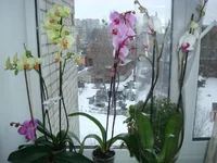 DSC03144.webp