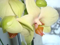 DSC03146.webp
