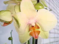 DSC03157.webp