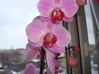 DSC03155.webp
