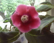 2.webp