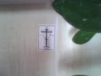 IMG0032B.jpg