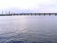 Большая вода Днепра.JPG