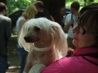 DSCF0634.webp