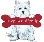 0d03da1e6a0b.webp