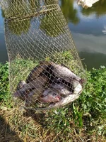 IMG_20190915_151227.webp
