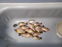 IMG_20190915_175220.webp
