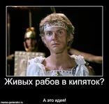 Dd6f.webp