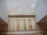 DSCF6261.webp