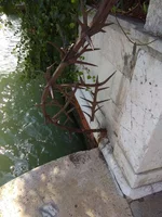 IMG_20190919_151517.webp