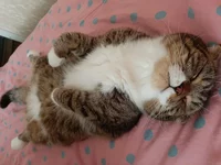 20190825_141121.webp
