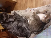 20190925_222755.webp