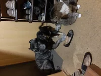 20190608_195332.webp