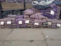 IMG_20190926_101047.webp