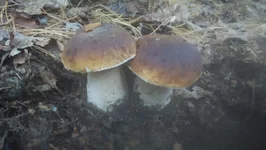 3E653A95-DE34-476B-A6AB-BC49F5B4844C.jpg