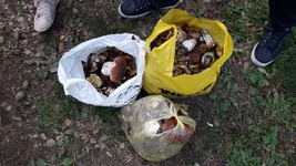 20190928_151919.webp