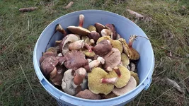 20190928_135247.webp