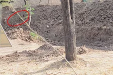 Leopard_2.webp