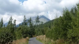DSCF5335.webp