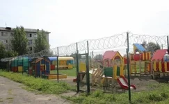  в россии.webp