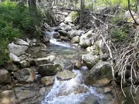 IMG_20190826_131603.webp