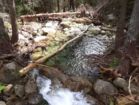 IMG_20190826_131611.webp